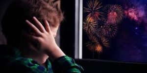 La Ciudad prohíbe el uso de pirotecnia con “efecto audible”