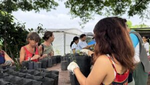 Programas gratuitos de educación Ambiental y Viveros